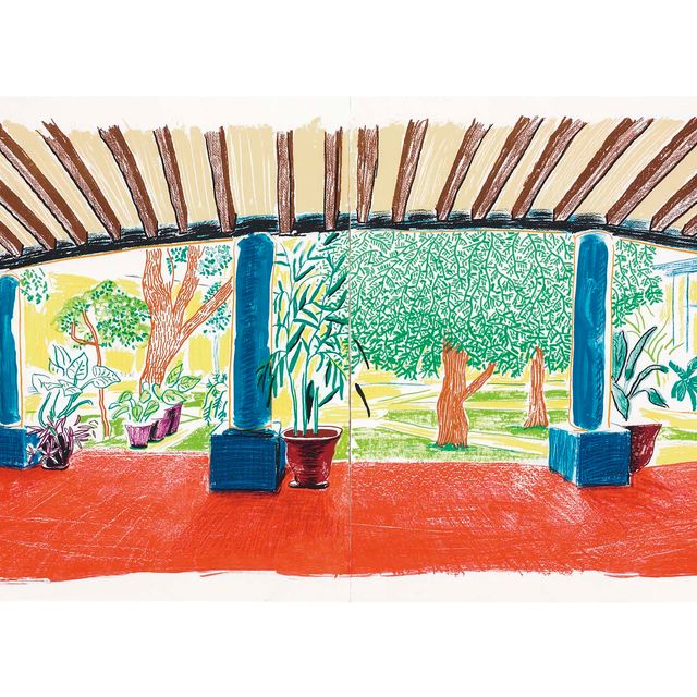 David Hockney — Отель "Акатлан": Первый день после переезда в центр внимания