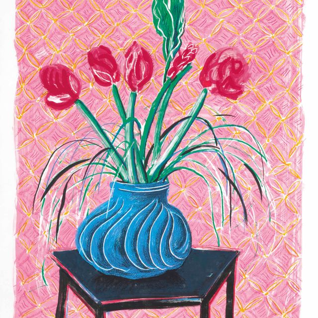 David Hockney — Амариллис, из "Движущегося фокуса"