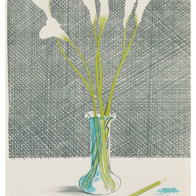 David Hockney — Лилии