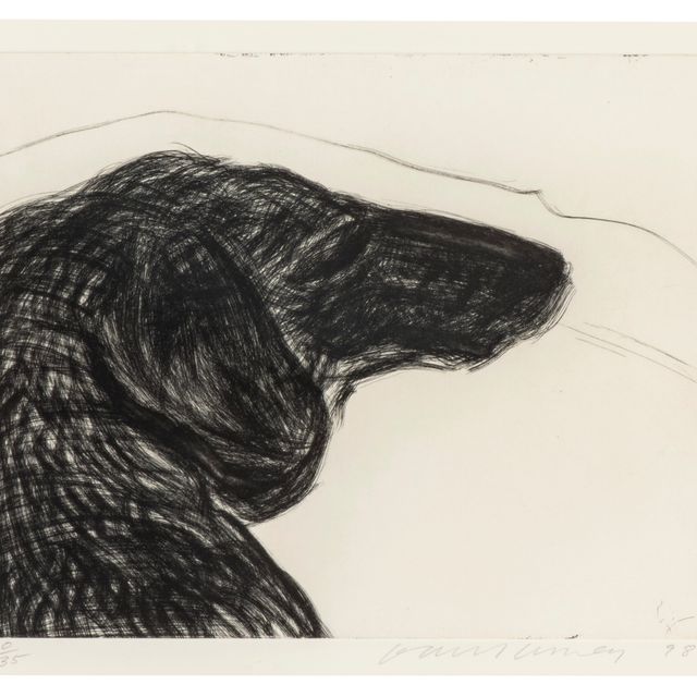 David Hockney — Собачья стенка: Одна тарелка