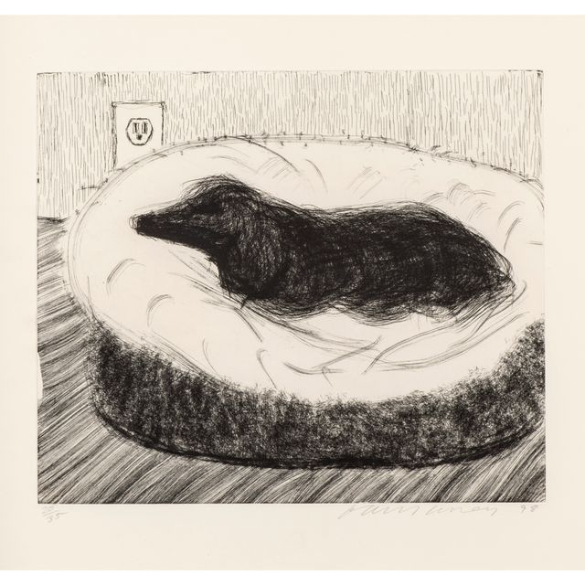 David Hockney — Собачья стенка: Одна тарелка