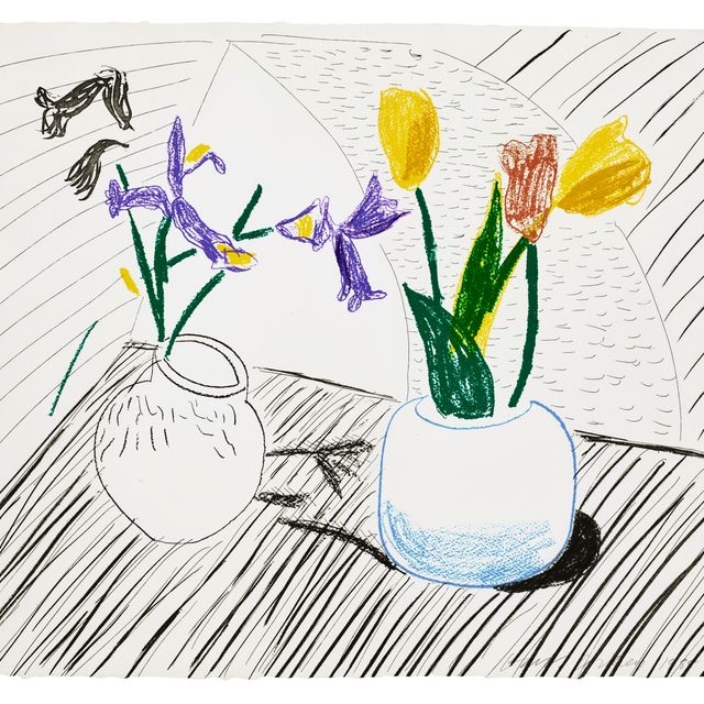 David Hockney — Белый фарфор, из движущегося фокуса