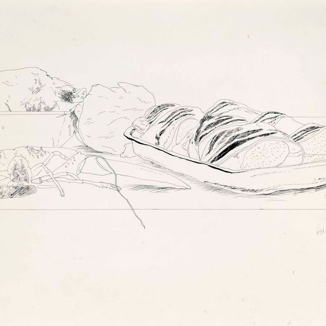 David Hockney — Натюрморт с лобстером