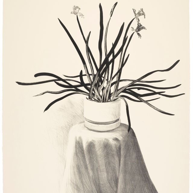 David Hockney — Нарциссы в горшках