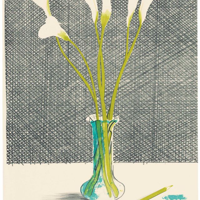 David Hockney — Лилии