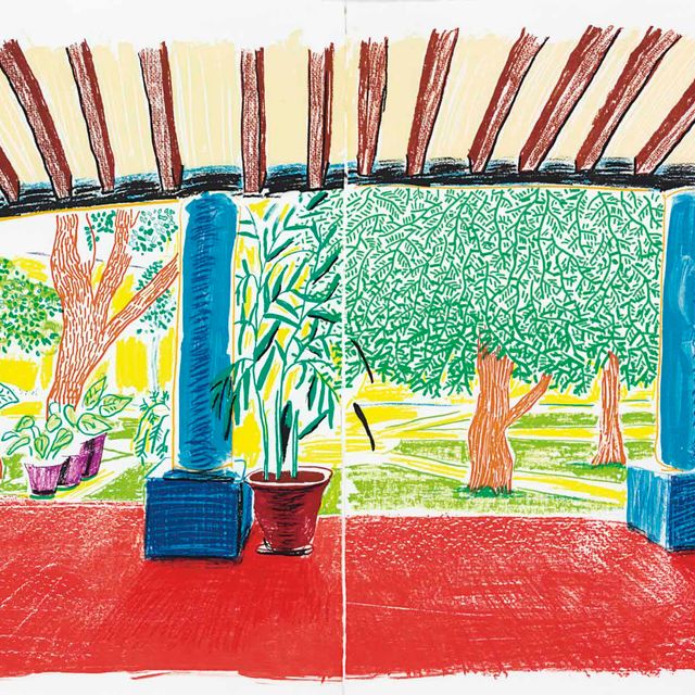 David Hockney — Отель "Акатлан": Первый день после переезда в центр внимания