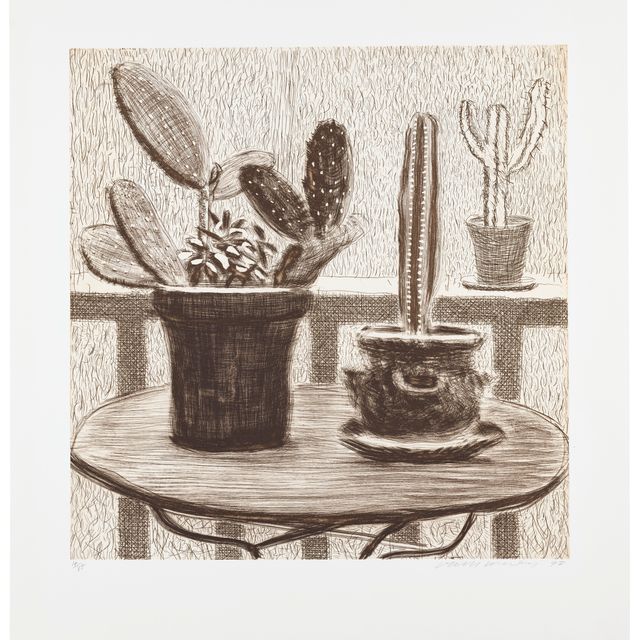 David Hockney — Кактусы на террасе