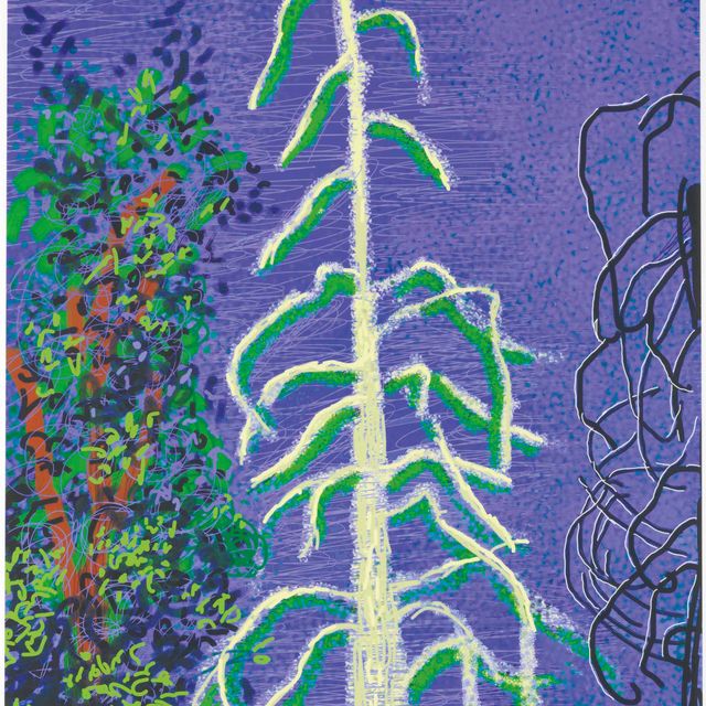 David Hockney — Без названия № 14 из Йосемитского набора