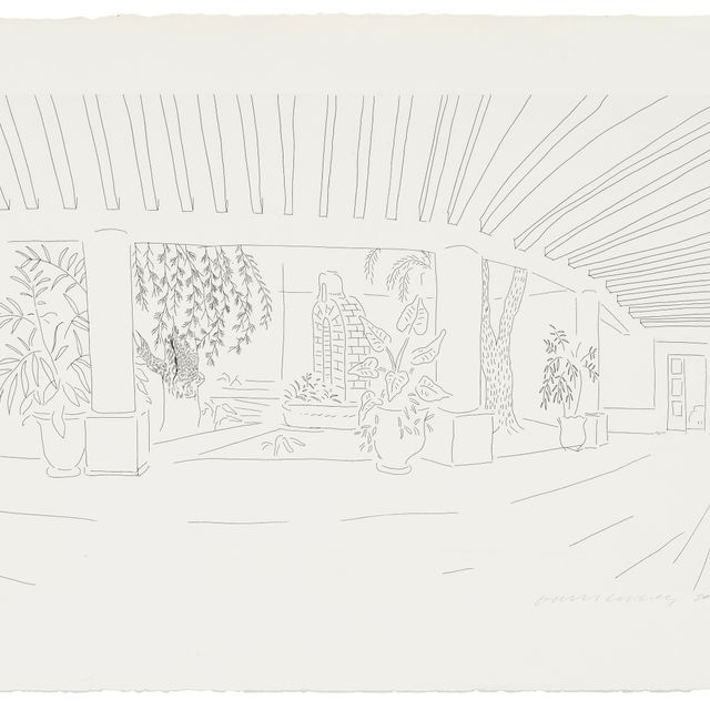 David Hockney — Мексиканский сад при отеле