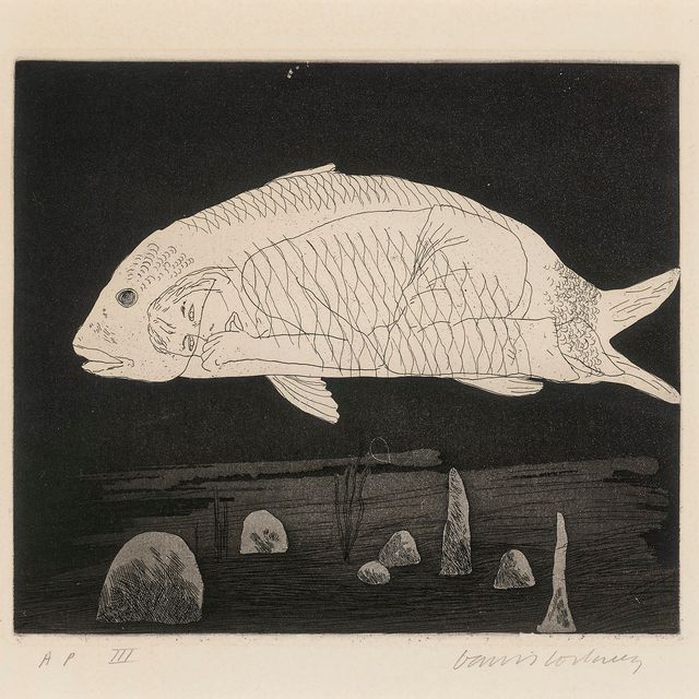 David Hockney — Мальчик, спрятанный в рыбе, из: Иллюстраций к шести сказкам Братьев Гримм