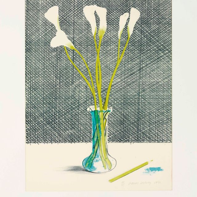 David Hockney — Лилии (S.A.C. 118)