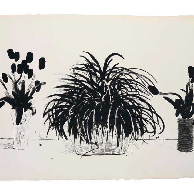 David Hockney — Две вазы со срезанными цветами и растение Лириопа (Токио, 232)
