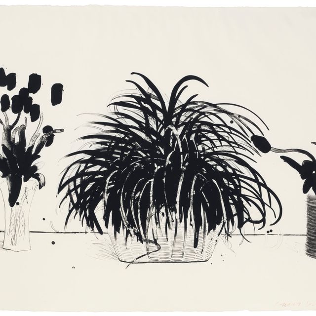 David Hockney — Две вазы со срезанными цветами и растение Лириопа