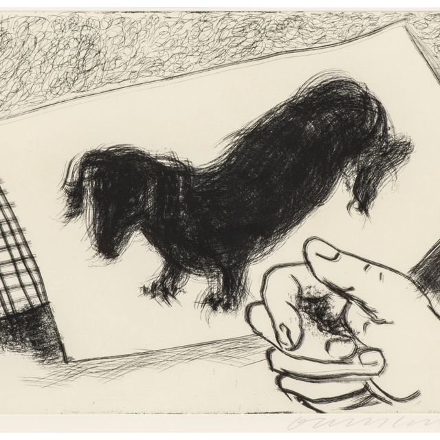 David Hockney — Собачья стенка: Одна тарелка