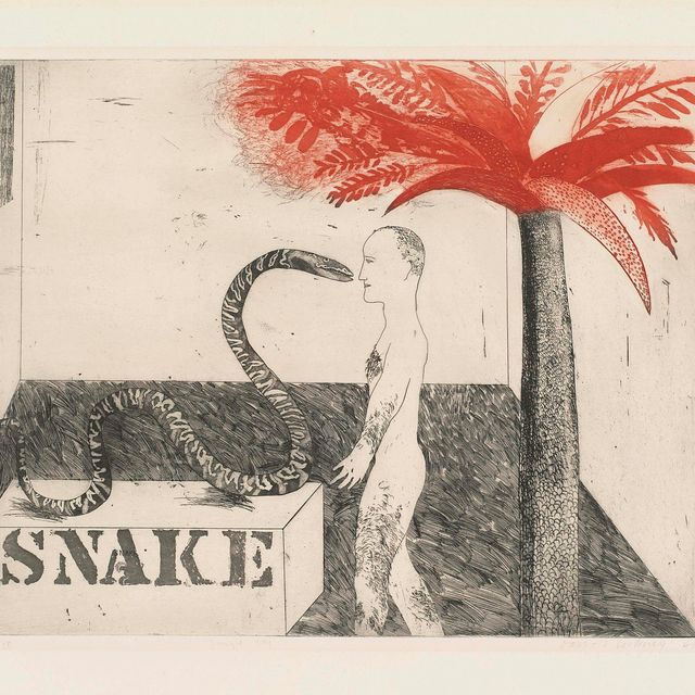 David Hockney — Мальчик из джунглей (S.A.C. 33; Токио 33)