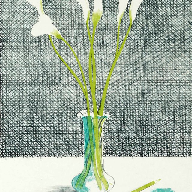 David Hockney — Лилии, из Европейской графики № 7