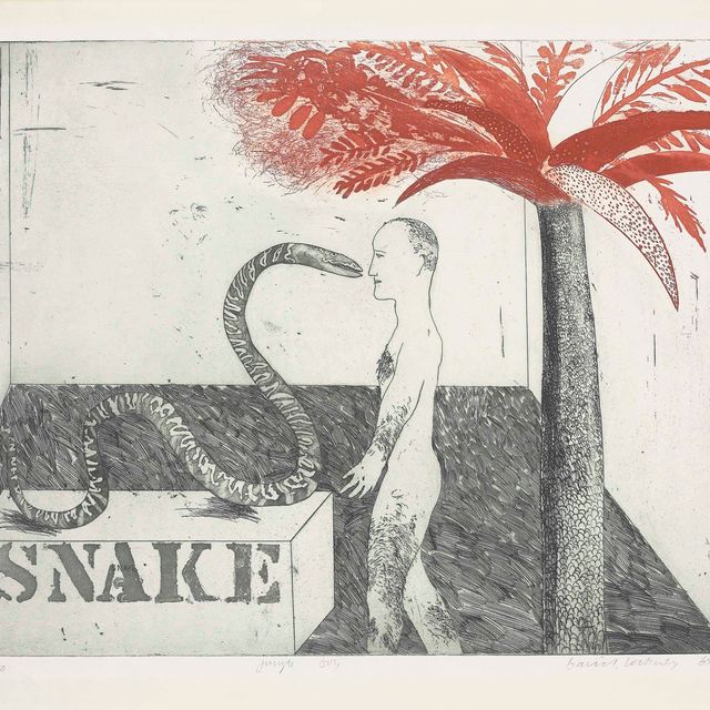 David Hockney — Мальчик из джунглей (S.A.C. 33; T. 33)
