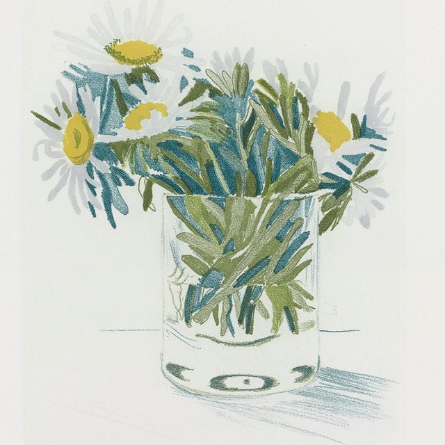 David Hockney — Маргариты (S.A.C. 157; К. 141)