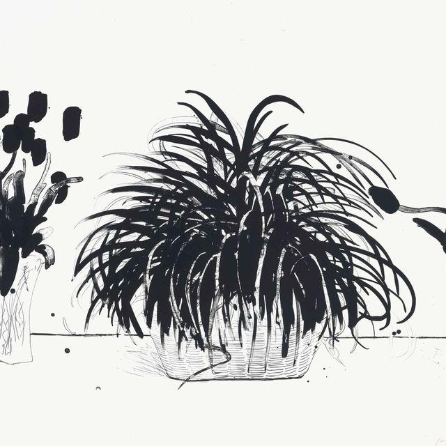 David Hockney — Две вазы со срезанными цветами и растение Лириопа