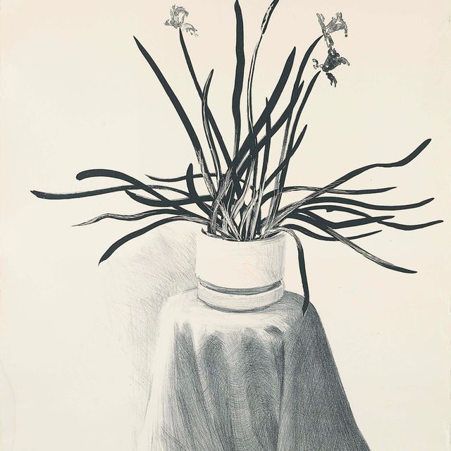 David Hockney — Нарциссы в горшках (Токио, 237)