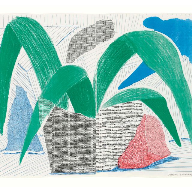 David Hockney — Зеленое серо-голубое растение, июль (Токио, 317)