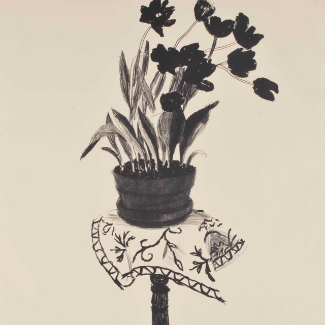 David Hockney — Черные тюльпаны
