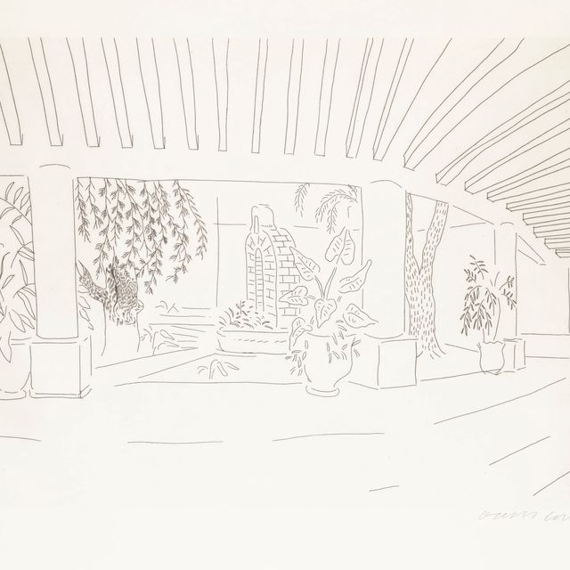 David Hockney — Мексиканский сад при отеле