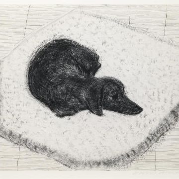 David Hockney — Гравюра с изображением собаки № 10, с собачьей стены