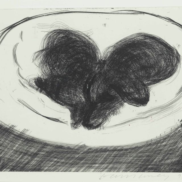 David Hockney — Гравюра с изображением собаки № 14, от: Dog Wall