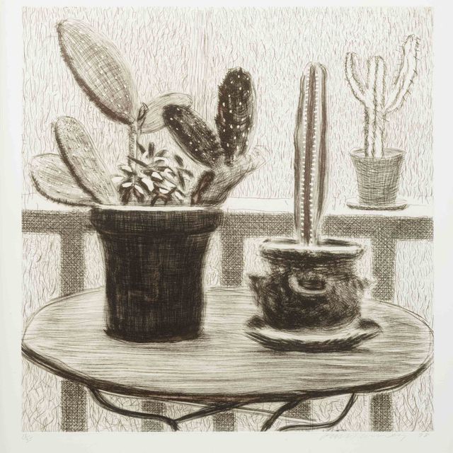 David Hockney — Кактусы на террасе