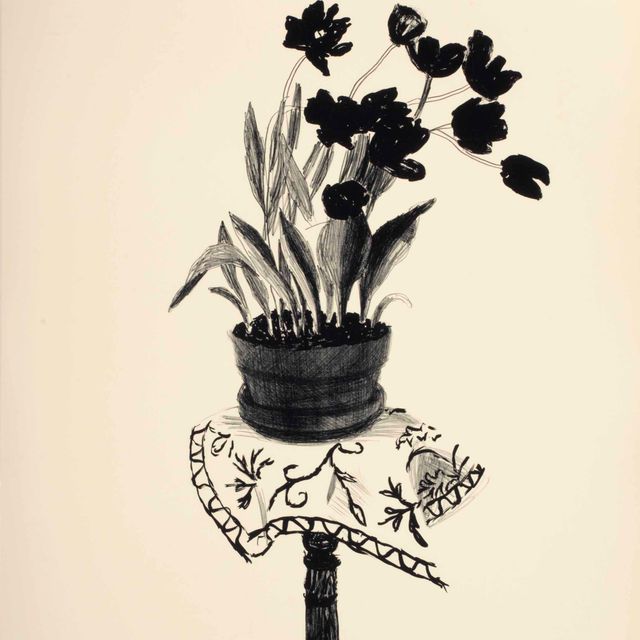 David Hockney — Черные тюльпаны