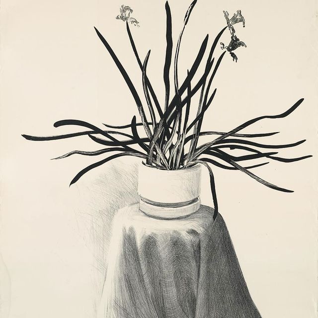 David Hockney — Нарциссы в горшках (К. 237)
