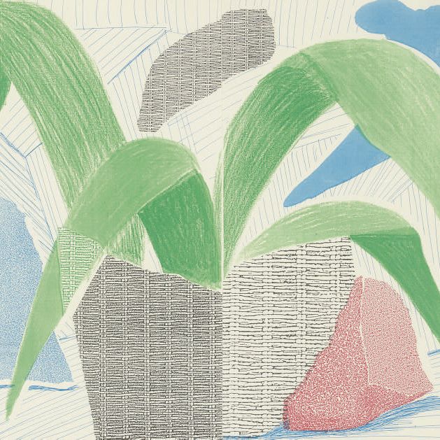 David Hockney — Зеленое серо-голубое растение, июль (M.C.A.T. 317)