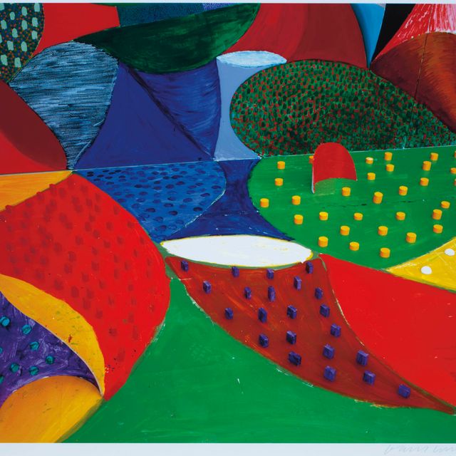 David Hockney — Пятая деталь - УЛИТКИ в КОСМОСЕ, 27 марта 1995 года, из 20 фотографий (M.C.A.T. 359)