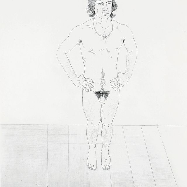 David Hockney — Питер (S.A.C. 110; То. 107)