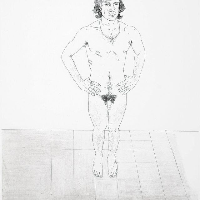 David Hockney — Питер (Южная Каролина, 110; Токио, 107)