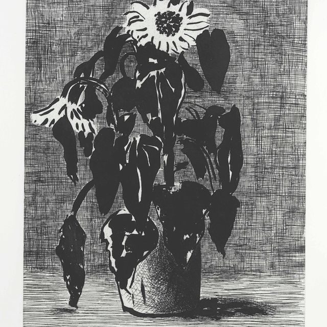 David Hockney — Подсолнух I