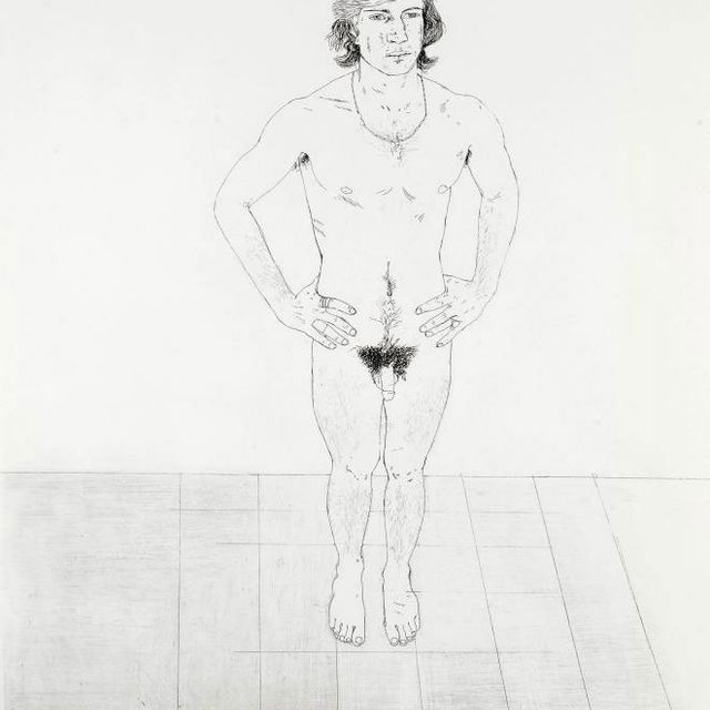David Hockney — Питер (MCA, Токио, 107)