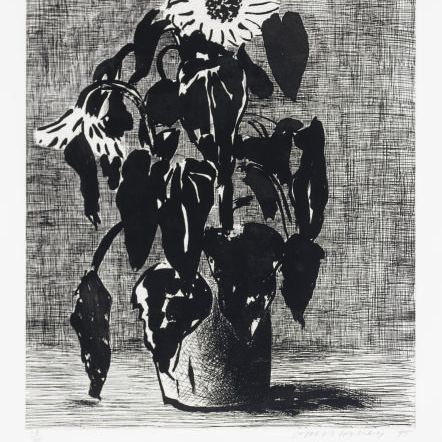 David Hockney — Подсолнух I (M.C.A.T. 347)