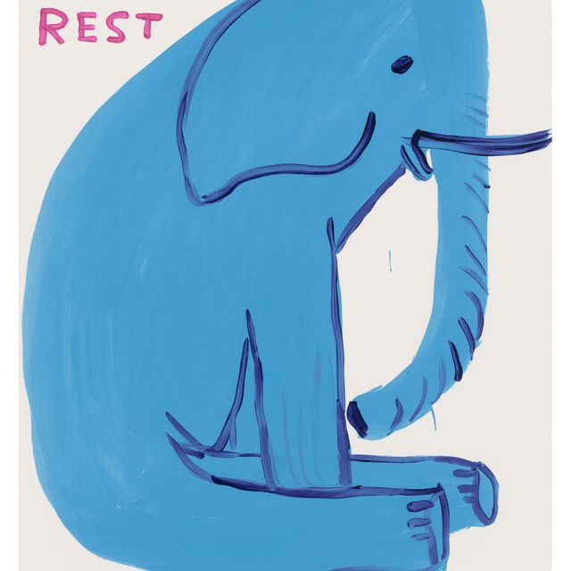 David Shrigley — Мое буйство закончилось