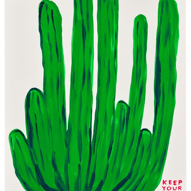 David Shrigley — Держи свою задницу подальше от кактуса