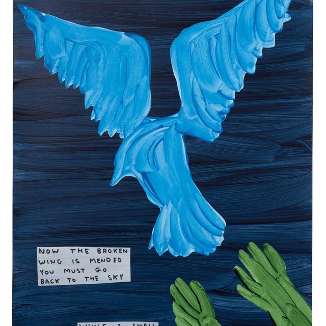 David Shrigley — Без названия (Теперь сломанное крыло починено)
