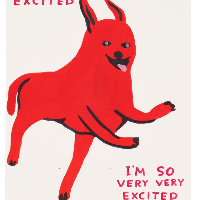 David Shrigley — Я так взволнована