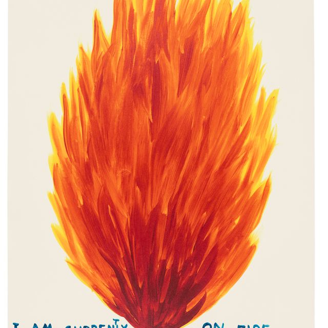 David Shrigley — В Данный Момент Я Весь Горю