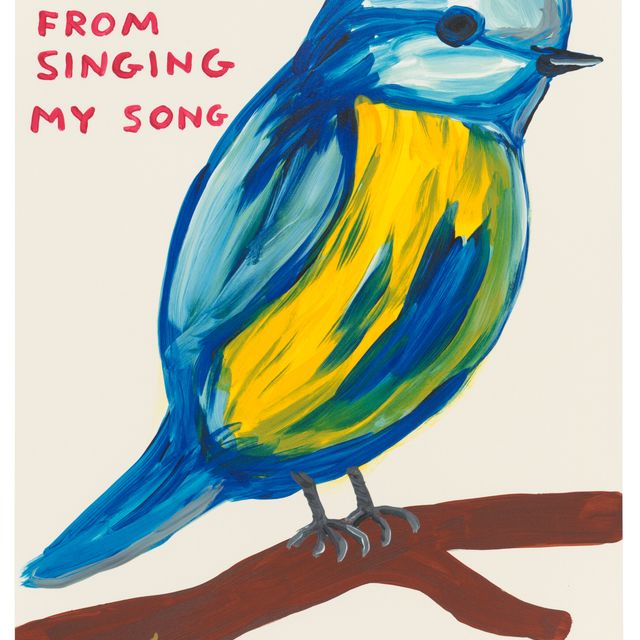 David Shrigley — Ты не помешаешь мне спеть мою песню.