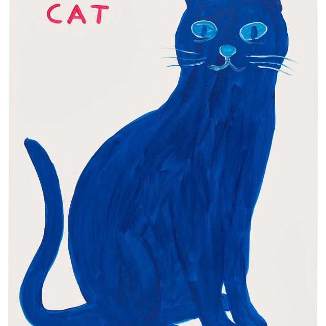 David Shrigley — Старый Кот