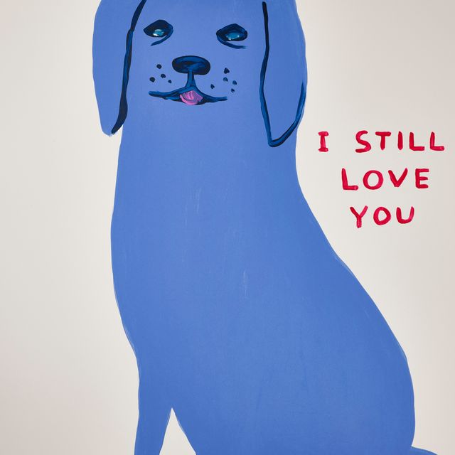 David Shrigley — Без названия (Старый пес)