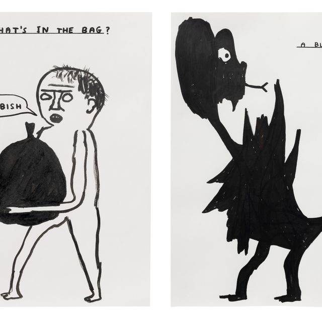 David Shrigley — (i) Без названия (Черный дрозд) (ii) Без названия (Что в сумке)