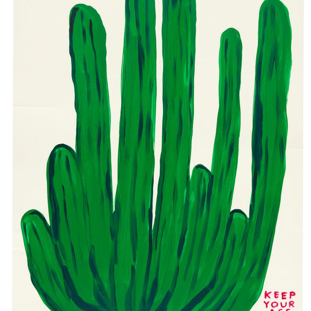David Shrigley — Держи свою задницу подальше от кактуса