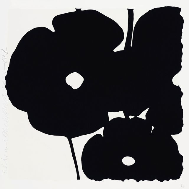 Donald Sultan — Белое и черное, 6 ноября 2015 года, от Reversal Poppies